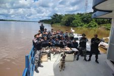 policiais-apreendem-carne-de-jacare-e-porco-espinho-sendo-transportada-ilegalmente-no-marajo