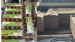 mais-de-tres-mil-ovos-clandestinos-sao-apreendidos-em-supermercados-na-grande-belem