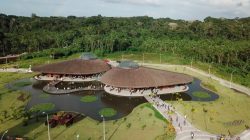 um-pedaco-do-bioma-amazonico-dentro-de-belem:-parque-do-utinga-completa-30-anos