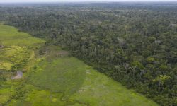 populacao-nao-indigena-tem-ate-31-de-maio-para-deixar-terra-indigena-alto-rio-guama,-no-para,-diz-governo