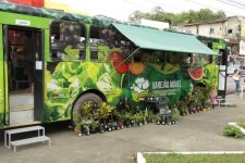 feira-itinerante-oferta-produtos-de-pequenos-agricultores-de-ananinadeua