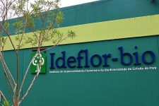 concurso-do-ideflor-bio-oferta-35-vagas-em-5-municipios-do-para;-salarios-vao-de-r$-1215,50-a-r$-1.845,32