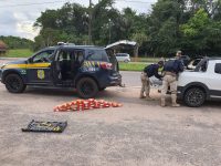 homem-e-preso-com-33-kg-de-pasta-base-de-cocaina-em-castanhal,-no-para