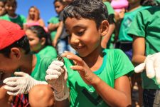 criancas-participam-da-soltura-de-filhotes-de-‘tartarugas’-em-ilha-de-belem;-fotos