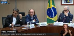 alertas-de-desmatamento-na-amazonia-caem-31%-nos-primeiros-cinco-meses-do-governo-lula,-aponta-ministerio