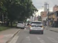 motorista-e-flagrado-arrastando-cachorro-do-lado-de-fora-do-carro-enquanto-dirige-no-para;-video
