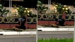 homem-e-preso-apos-ser-flagrado-furtando-fiacao-eletrica-subterranea-em-belem;-video