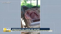 videos:-bdp-desta-segunda-feira,-26-de-junho-de-2023