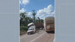 acidente-entre-onibus-e-carreta-deixa-duas-pessoas-mortas-na-pa-163,-em-trairao,-no-para
