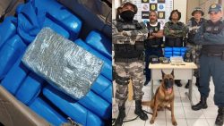 drogas-avaliadas-em-quase-r$-400-mil-sao-encontradas-por-cao-farejador-e-policiais-em-barco-no-para