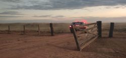 batalhao-rural:-como-a-policia-paraense-usa-georreferenciamento-e-banco-de-dados-para-combater-crimes-no-campo