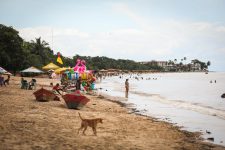 ‘verao-amazonico’:-belem-tera-pontos-facultativos-nas-sextas-feiras-de-julho