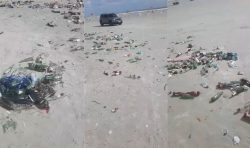 praia-onde-tartarugas-realizam-desova-em-salinas-fica-tomada-por-lixo-no-3°-fim-de-semana-de-julho,-no-pa