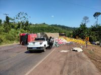 carreta-carregada-de-cerejas-tomba-na-br-163-e-carga-e-saqueada-em-trairao,-pa