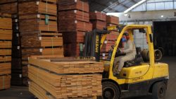 para-teve-queda-no-faturamento-com-exportacao-de-madeira,-mesmo-diante-de-aumento-na-producao