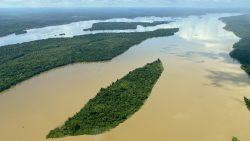 pedido-de-declaracao-de-emergencia-em-saude-por-contaminacao-do-rio-tapajos-por-mercurio-passa-de-100-dias-em-analise-no-ms