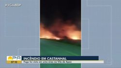 incendio-atinge-area-de-mata-em-castanhal,-no-para