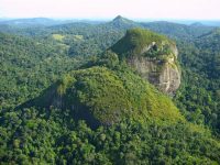 helicoptero-com-piloto,-mecanico-e-engenheiro-da-funai-desaparece-na-floresta-amazonica,-no-ap