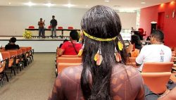 indigenas-e-quilombolas-podem-participar-de-vestibular-especial-para-medicina-na-ufpa;-saiba-como-se-inscrever