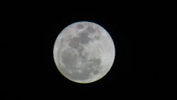 superlua-podera-ser-observada-do-planetario-do-para