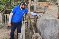 adepara-abre-24-vagas-para-diversos-cargos;-saiba-como-participar-da-selecao