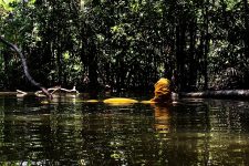 exposicao-de-renata-aguiar-reune-fotografias-e-performance-em-obras-que-mergulham-na-amazonia