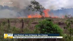incendio-atinge-area-de-mata-na-estrada-da-ceasa,-em-belem