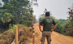 apos-pedido-de-manutencao-de-invasores-em-terras-indigenas-pela-prefeitura-de-sao-felix-do-xingu,-stf-mantem-operacao-de-desintrusao