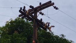 fornecimento-de-energia-de-bomba-d’agua-municipal-e-cortado-apos-divida-de-r$-9-milhoes-no-interior-do-para