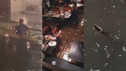 morador-no-caiaque,-restaurante-alagado-e-cobra:-chuva-na-grande-belem-causa-transtornos;-videos