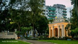 sustentabilidade,-meio-ambiente-e-preservacao-para-um-futuro-melhor