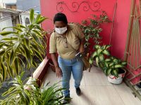 mutirao-de-combate-a-dengue-percorre-bairros-de-belem