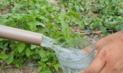 contaminacao-em-pocos-obriga-indigenas-a-percorrer-34-km-para-comprar-agua-potavel-no-pa:-‘desumano’,-diz-cacique