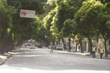 mais-da-metade-das-arvores-do-bairro-de-nazare,-em-belem,-cidade-da-cop-30,-possui-danos-provocados-por-acao-humana