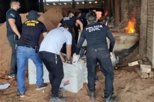 mais-de-90-quilos-de-drogas-sao-incinerados-em-moju,-nordeste-do-para