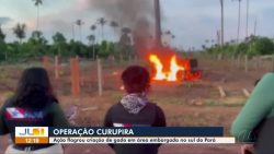 fazendeiro-comandava-criacao-de-gado-em-area-de-protecao-ambiental-no-para