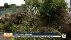 videos:-jornal-liberal-1a-edicao-de-quinta-feira,-8-de-fevereiro-de-2024