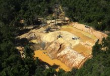 garimpo-devastou-area-de-4-campos-de-futebol-por-dia-em-2023-nas-terras-yanomami,-kayapo-e-munduruku,-aponta-greenpeace