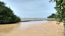 corpo-e-encontrado-boiando-em-praia-na-ilha-de-mosqueiro,-no-para