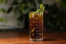 amazonia-sour:-confira-lista-de-estabelecimentos-oferecendo-drinks-ineditos-com-ingredientes-amazonicos