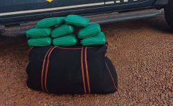 mais-de-10-kg-de-maconha-sao-encontrados-em-mala-de-passageira-no-pa;-video