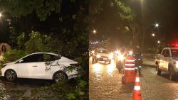 mangueira-cai-em-cima-de-carro-na-praca-da-republica,-apos-forte-chuva-em-belem;-video