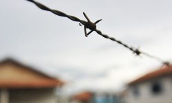 amazonia-tem-quase-metade-dos-conflitos-no-campo-no-brasil-em-2023;-para-e-o-estado-mais-violento,-diz-cpt
