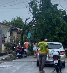 casas-sao-destelhadas-por-vendaval,-em-ananindeua