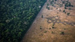 representantes-dos-estados-do-norte-discutem-plano-nacional-de-combate-aos-efeitos-da-seca-na-amazonia
