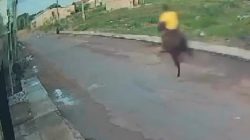 video-mostra-o-momento-em-que-mulher-e-atropelada-por-cavalo,-no-para;-assista