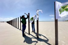 nova-sinalizacao-alerta-banhistas-sobre-a-desova-de-tartarugas-marinhas-na-praia-de-salinas,-no-pa