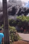 fogo-atinge-area-de-mato-proxima-a-uma-creche-em-mae-do-rio,-no-para