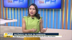 videos:-bom-dia-para-de-segunda-feira,-29-de-julho-de-2024
