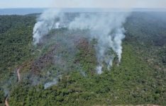 incendio-de-grandes-proporcoes-destroi-mais-de-180-hectares-da-floresta-nacional-de-carajas,-no-para